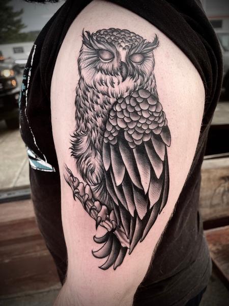 Owl on arm